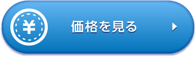 価格を見る